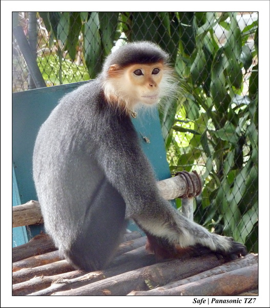 2009   08   Kho samui 49